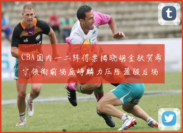CBA国内一二阵得票揭晓胡金秋贺希宁领衔前场庞峥麟力压陈盈骏后场
