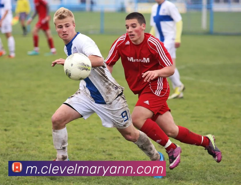 电竞数据